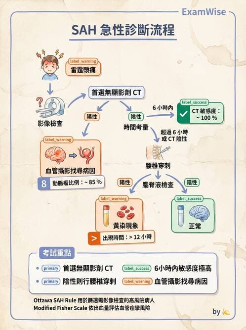 專師 - 腦血管疾病 - AI 圖文解析預覽