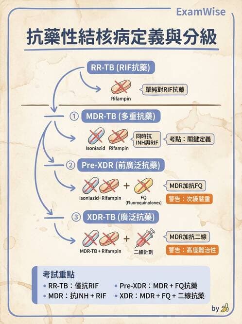 專師 - 結核病 - AI 圖文解析預覽