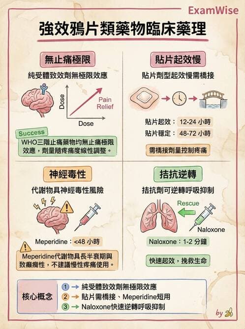 專師 - 疼痛控制與止痛藥物 - AI 圖文解析預覽