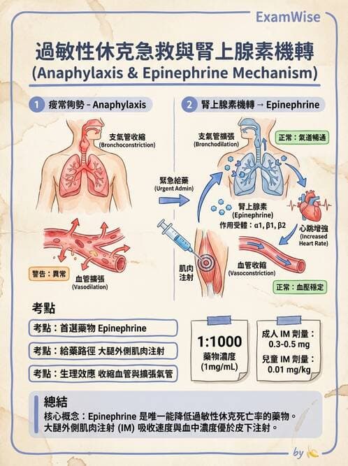 專師 - 急救藥物與特殊休克 - AI 圖文解析預覽
