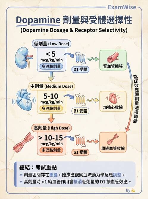 專師 - 急救藥物與特殊休克 - AI 圖文解析預覽