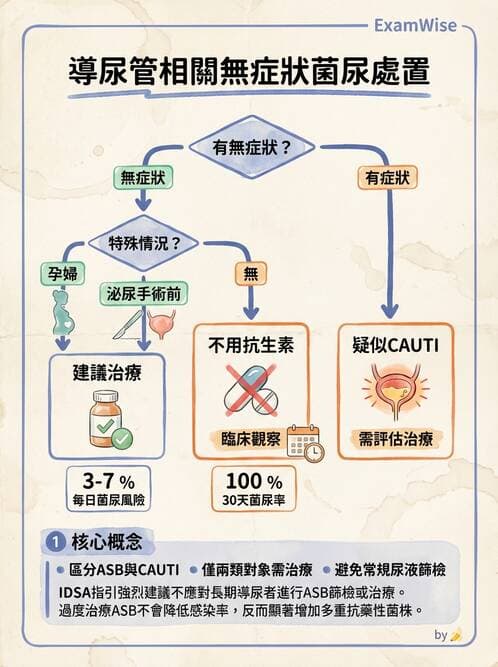 專師 - 泌尿道感染 - AI 圖文解析預覽