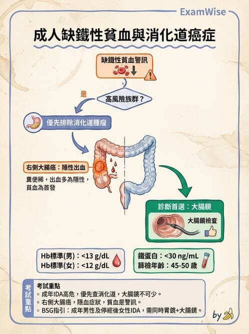 專師 - 大腸直腸癌與息肉 - AI 圖文解析預覽