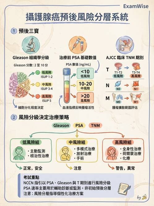 專師 - 攝護腺疾病 - AI 圖文解析預覽