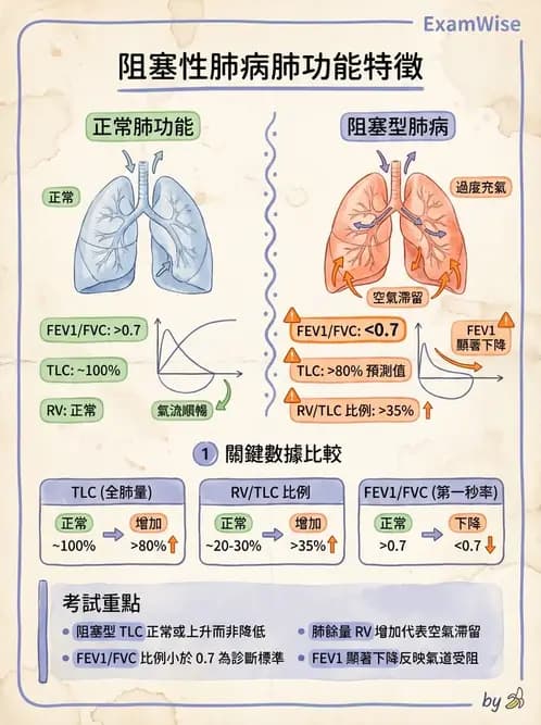 專師 - 阻塞性肺病 - AI 圖文解析預覽