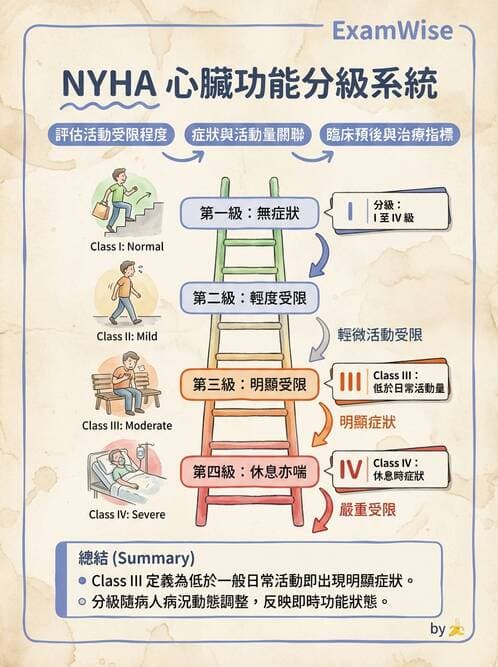 專師 - 心衰竭 - AI 圖文解析預覽