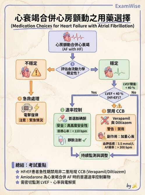 專師 - 心律不整與ECG判讀 - AI 圖文解析預覽