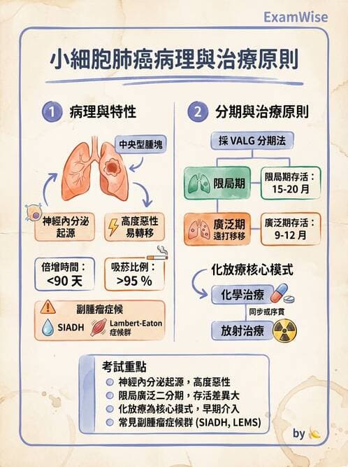 專師 - 胸腔外科 - AI 圖文解析預覽