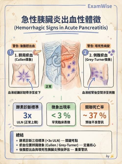 專師 - 膽道與胰臟 - AI 圖文解析預覽