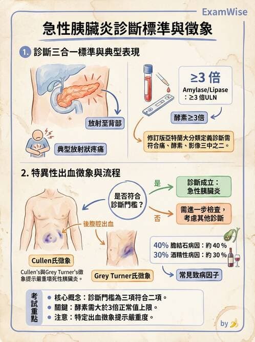 專師 - 膽道與胰臟 - AI 圖文解析預覽