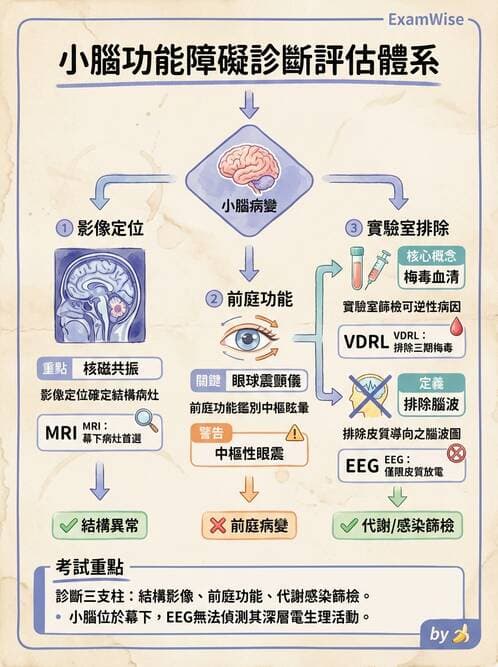 專師 - 腦神經檢查與神經學評估 - AI 圖文解析預覽