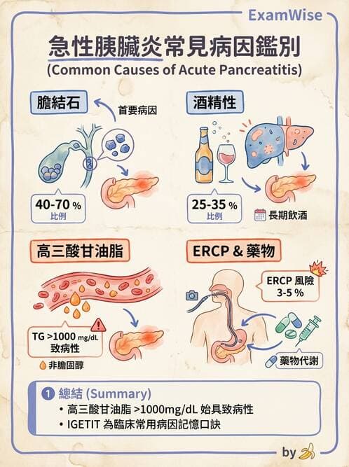 專師 - 膽道與胰臟 - AI 圖文解析預覽