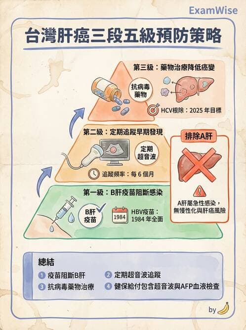 專師 - 肝腫瘤與肝臟手術 - AI 圖文解析預覽