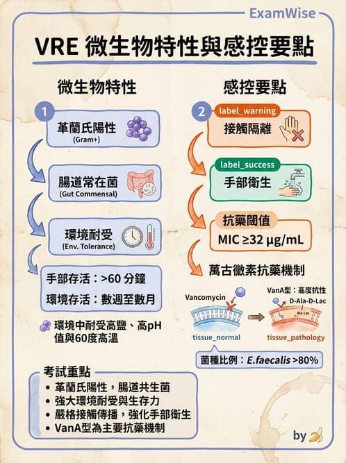 專師 - 院內感染與感控 - AI 圖文解析預覽