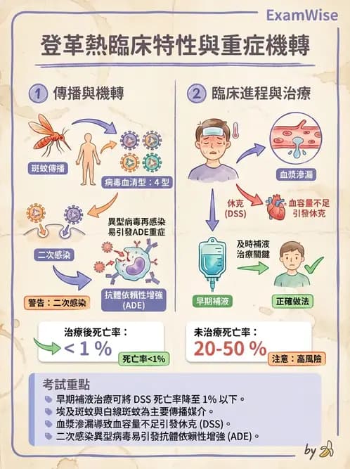 專師 - 法定傳染病與新興感染 - AI 圖文解析預覽