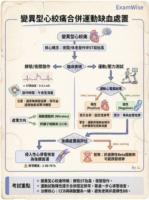 專師 - 心絞痛與穩定型冠心病 - AI 圖文解析預覽
