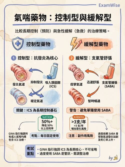 專師 - 阻塞性肺病 - AI 圖文解析預覽