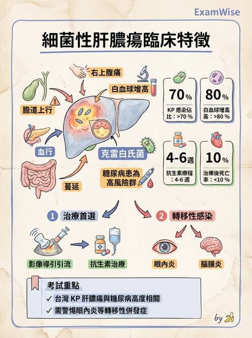 專師 - 肝腫瘤與肝臟手術 - AI 圖文解析預覽