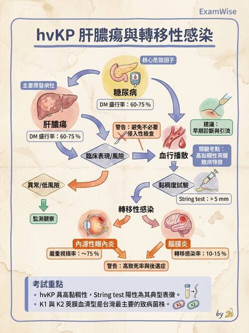 專師 - 呼吸道感染 - AI 圖文解析預覽