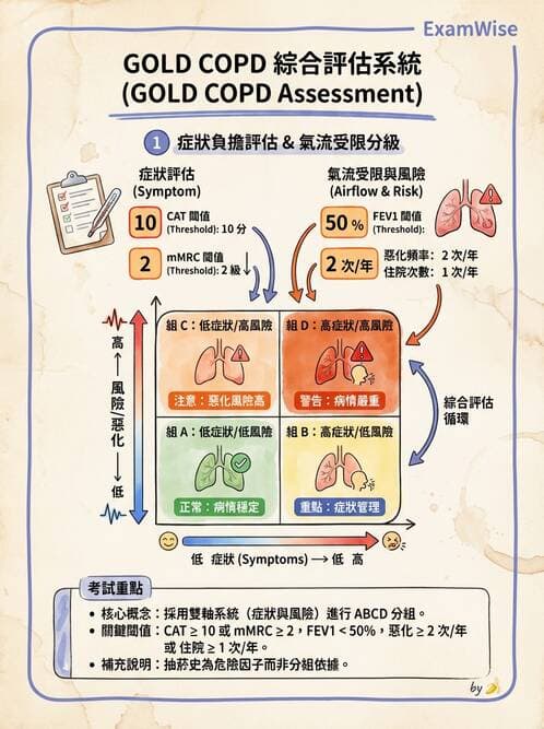 專師 - 阻塞性肺病 - AI 圖文解析預覽