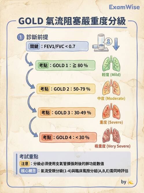 專師 - 阻塞性肺病 - AI 圖文解析預覽