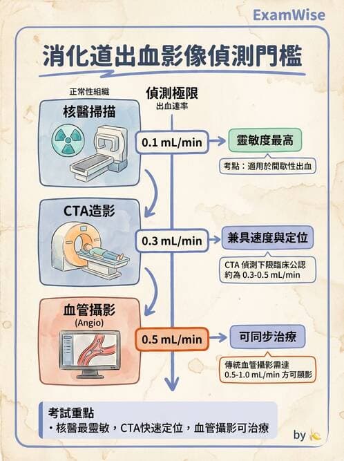 專師 - 上消化道 - AI 圖文解析預覽