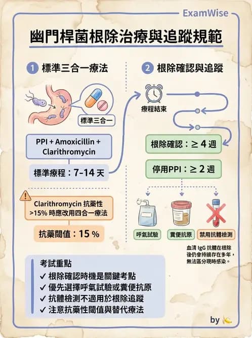 專師 - 上消化道 - AI 圖文解析預覽
