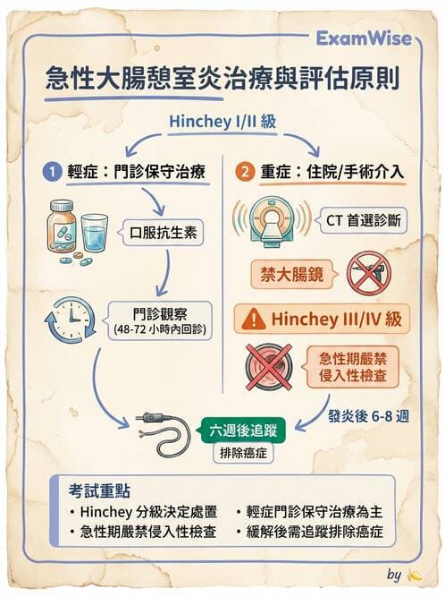 專師 - 腸道疾病與肛門直腸 - AI 圖文解析預覽