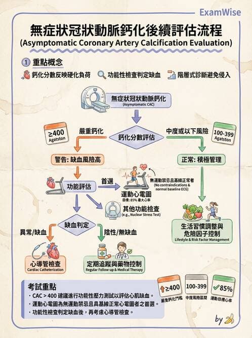專師 - 急性心肌梗塞與處置 - AI 圖文解析預覽