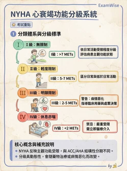 專師 - 心衰竭 - AI 圖文解析預覽