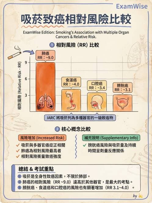 專師 - 癌症篩檢與預防 - AI 圖文解析預覽