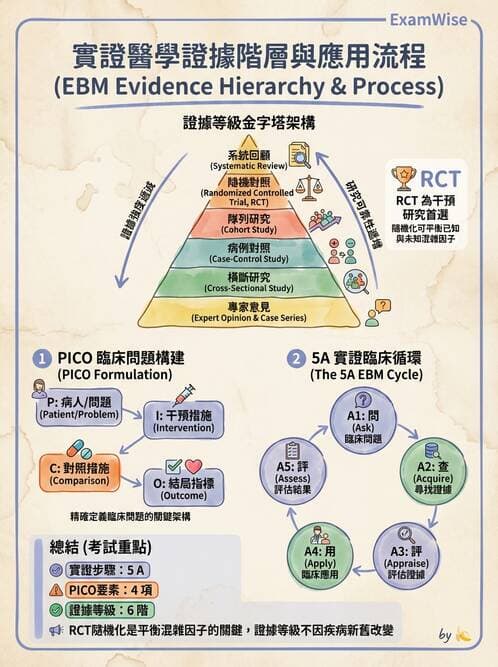 專師 - 實證方法與步驟 - AI 圖文解析預覽