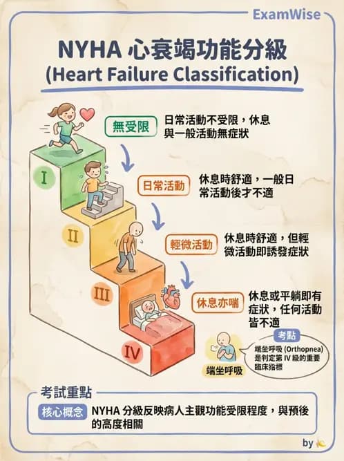 專師 - 心衰竭 - AI 圖文解析預覽