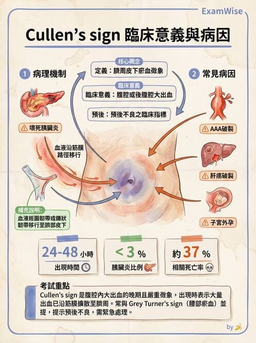 專師 - 膽道與胰臟 - AI 圖文解析預覽