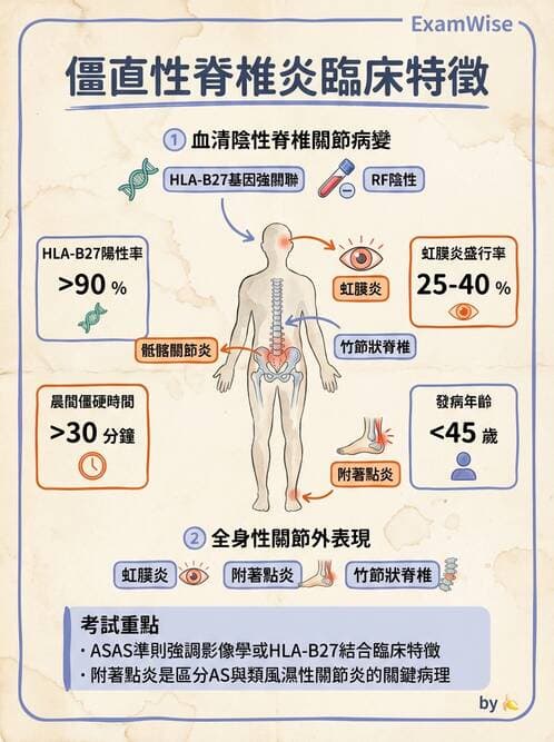 專師 - 風濕免疫疾病 - AI 圖文解析預覽