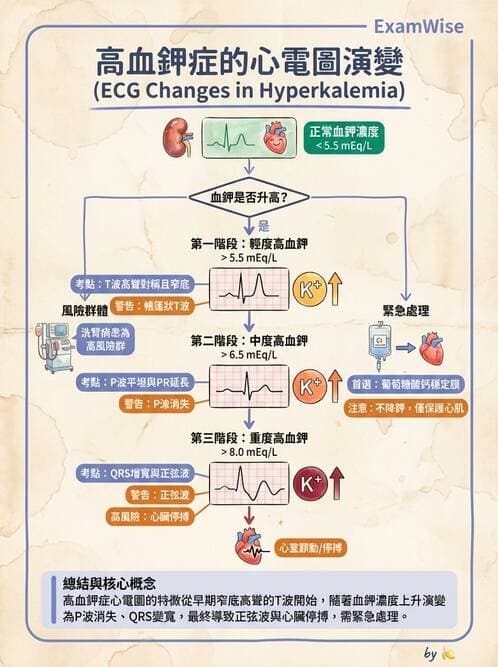 專師 - 透析治療 - AI 圖文解析預覽