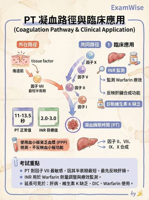 專師 - 血液疾病 - AI 圖文解析預覽