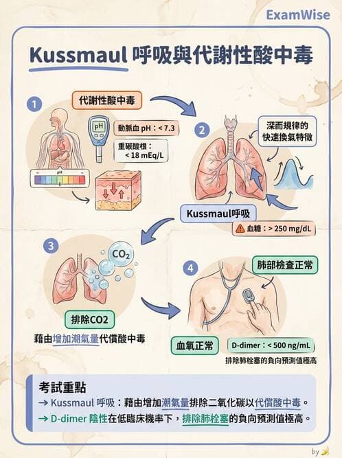 專師 - 糖尿病急症 - AI 圖文解析預覽