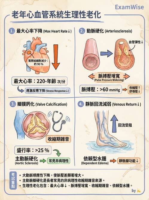 專師 - 心衰竭 - AI 圖文解析預覽