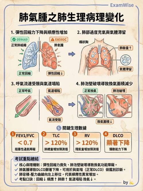 專師 - 阻塞性肺病 - AI 圖文解析預覽