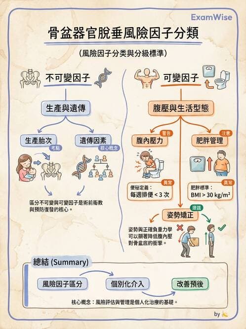 專師 - 尿失禁與排尿障礙 - AI 圖文解析預覽