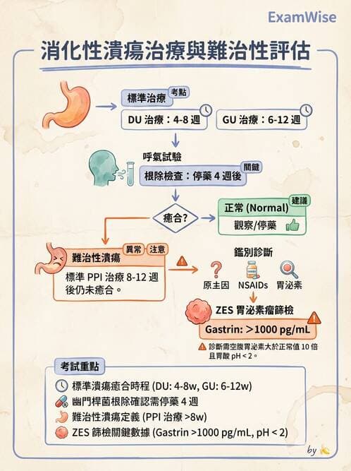 專師 - 上消化道 - AI 圖文解析預覽