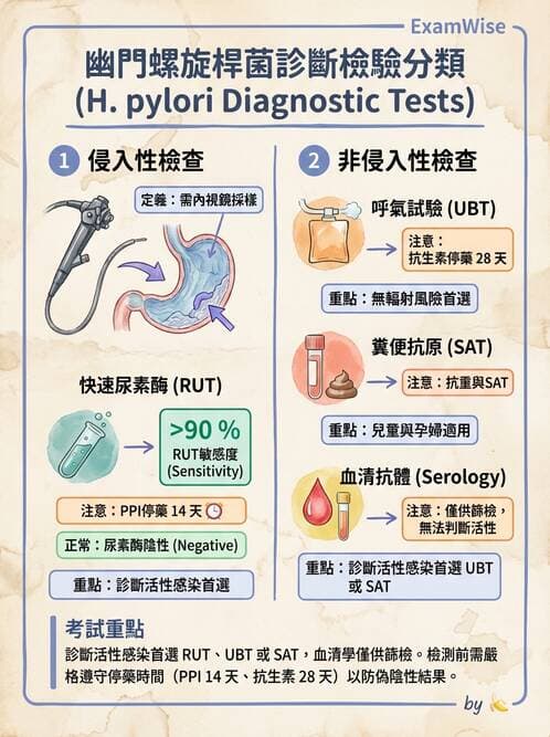 專師 - 上消化道 - AI 圖文解析預覽