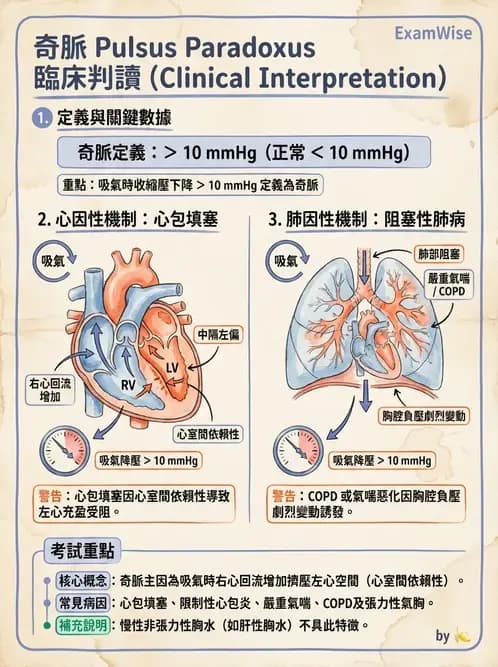 專師 - 心包膜與心肌疾病 - AI 圖文解析預覽