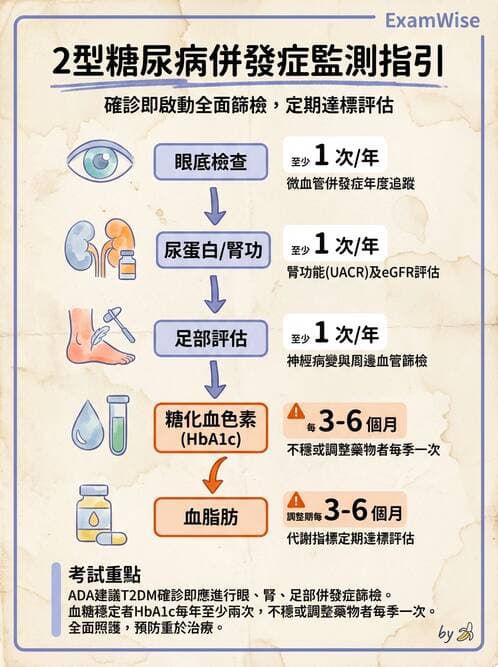 專師 - 糖尿病併發症與照護 - AI 圖文解析預覽