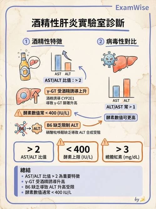 專師 - 肝炎與肝功能 - AI 圖文解析預覽