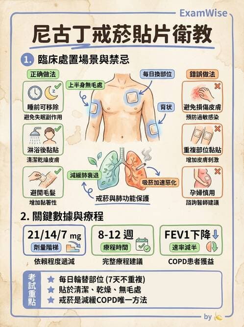 專師 - 菸檳防治與戒菸 - AI 圖文解析預覽