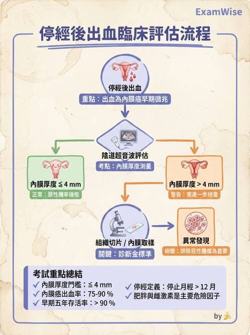 專師 - 乳癌與婦癌 - AI 圖文解析預覽