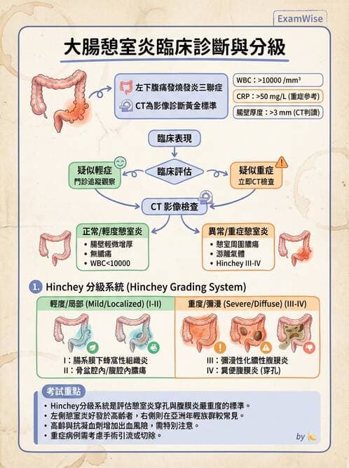 專師 - 腹部評估與急腹症 - AI 圖文解析預覽