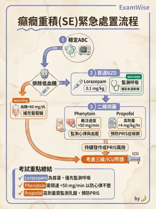 專師 - 神經退化與免疫疾病 - AI 圖文解析預覽